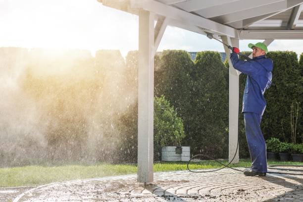 Best Rust Removal  in Bellevle, IL